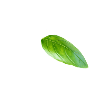 pngwing.com 2 1